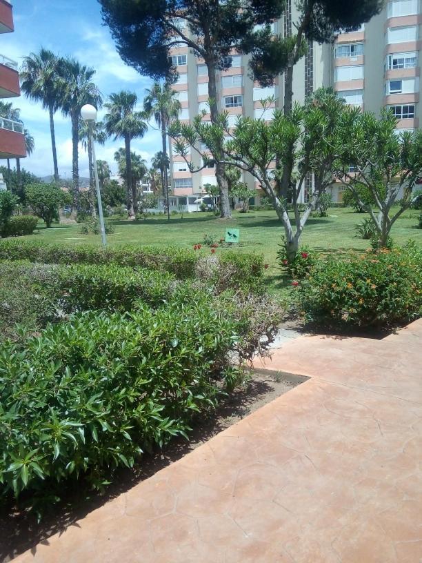Vista Hermosa تورّوكس كوستا المظهر الخارجي الصورة
